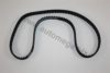 AUTOMEGA 311090119027C Timing Belt